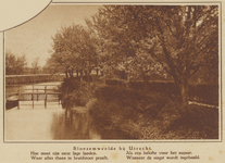 873055 Afbeelding van bloeiende bomen vermoedelijk langs de Kromme Rijn nabij Utrecht.